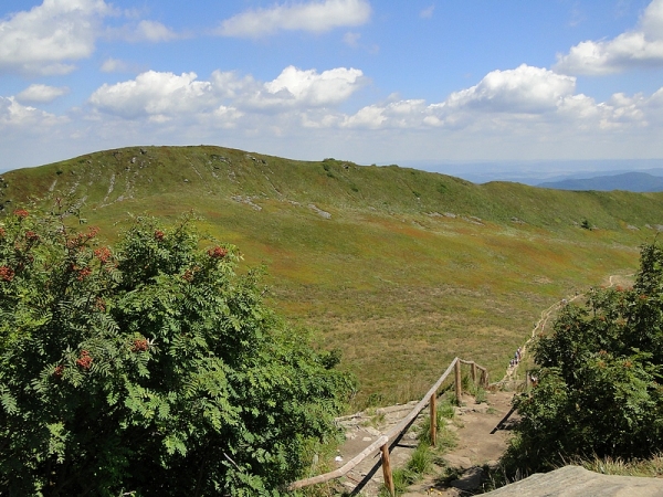 Zdjęcie z Polski - ...