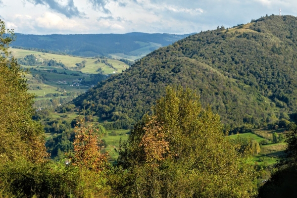 Zdjęcie z Polski - w drodze na Szafranówkę...