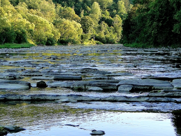 Zdjęcie z Polski - ...