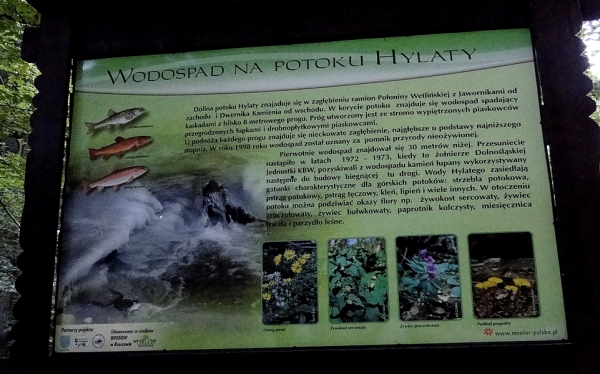 Zdjęcie z Polski - ...