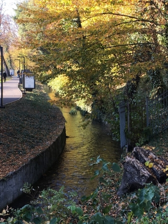 Zdjęcie z Polski - Cieszyn