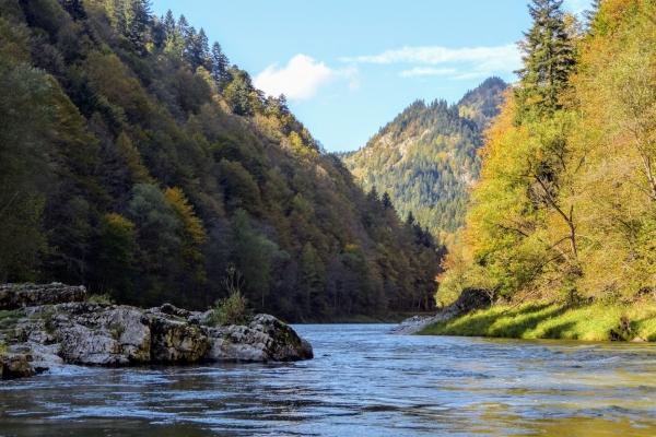 Zdjęcie z Polski - Dunajec wpada w ciasną gardziel między wapienne skały - Zbójnickie Skały 