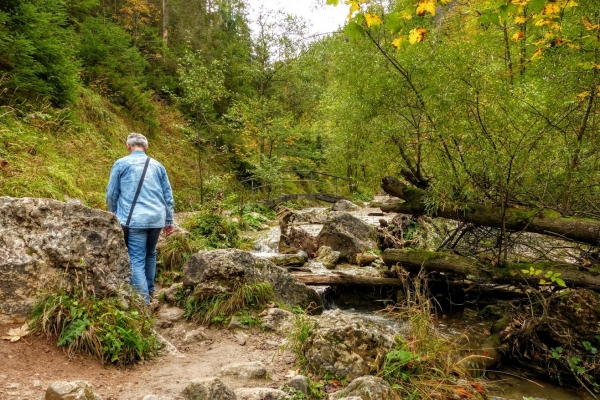 Zdjęcie z Polski - Wąwóz Homole ma ok 1000 m długości, trasa nie jest więc ani długa ani trudna i bez przeszkód można 