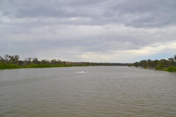 Zdjęcie z Australii - Rejs po Murray River