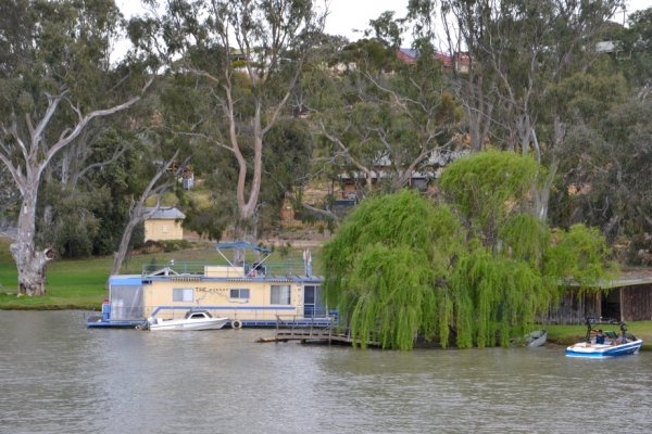 Zdjęcie z Australii - Wyplywamy poza granice Mannum