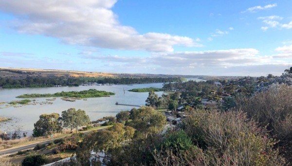 Zdjęcie z Australii - Widok na Mannum z tego wlasnie punktu widokowego