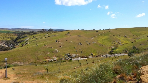 Zdjęcie z Australii - W drodze do wodospadu Mannum Waterfalls