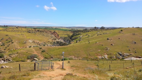 Zdjęcie z Australii - W drodze do wodospadu Mannum Waterfalls