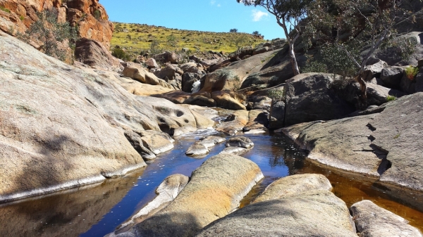 Zdjęcie z Australii - Wąwóz strumienia Reedy Creek