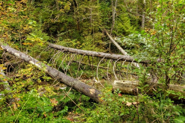 Zdjęcie z Polski - ...