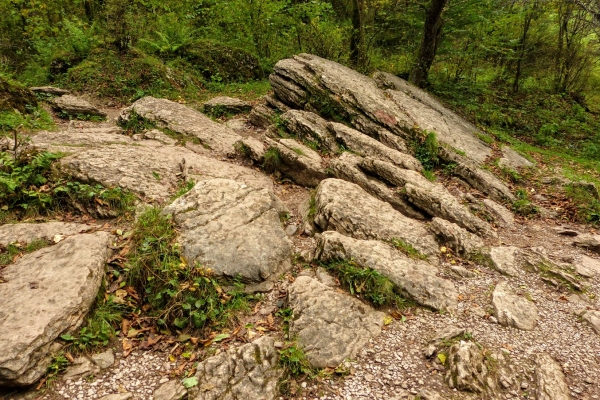 Zdjęcie z Polski - i dochodzimy do końca wąwozu, na tzw. Dubantowską Dolinkę
