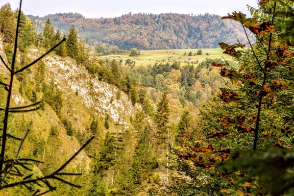 Zdjęcie z Polski - ale my nie wracamy; idziemy dalej szlakiem....