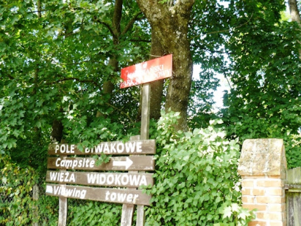 Zdjęcie z Polski - 