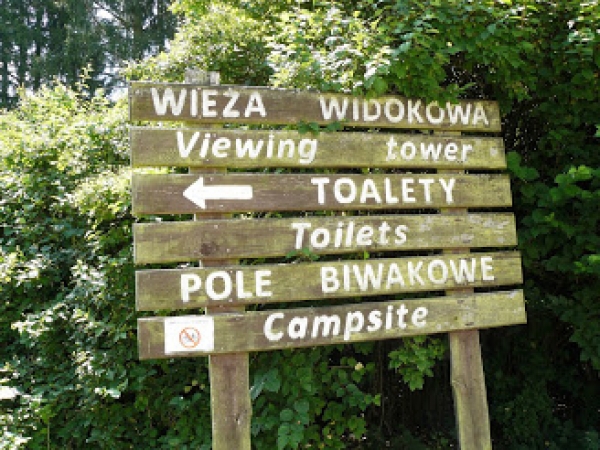 Zdjęcie z Polski - 