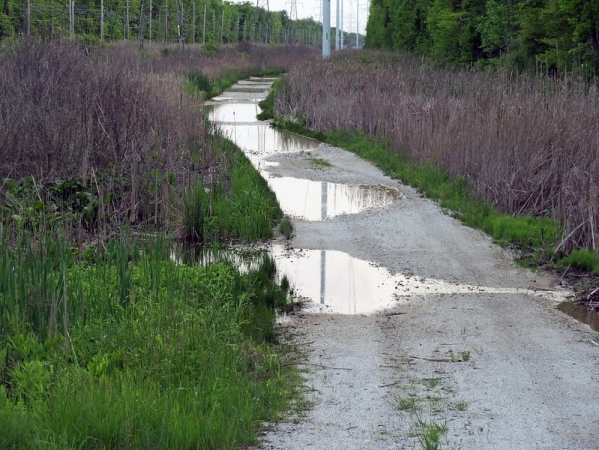 Zdjęcie ze Stanów Zjednoczonych - Szlak rowerowy "Calument Trail"