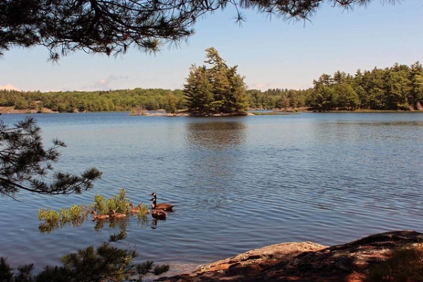 Zdjęcie z Kanady - The Massasauga Provincial Park, Ontario