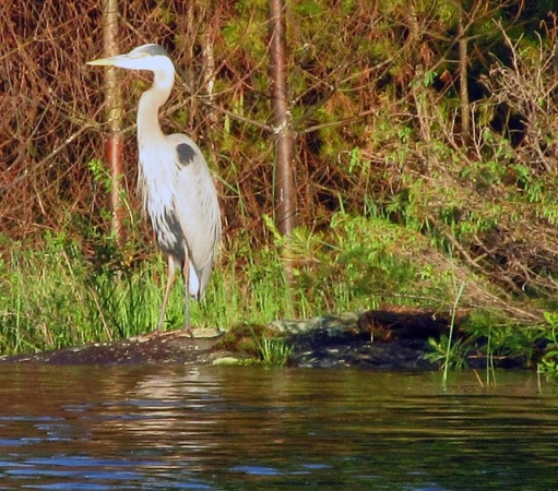 Zdjęcie z Kanady - Park Massasauga, Ontario