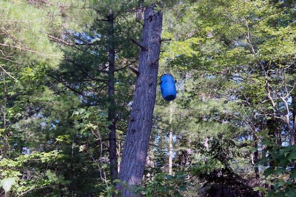 Zdjęcie z Kanady - Na Rzece Francuskiej (French River), Ontario