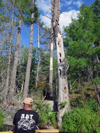 Zdjęcie z Kanady - Na French River, Ontario