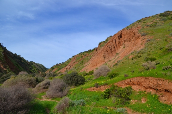 Zdjęcie z Australii - Cactus Canyon