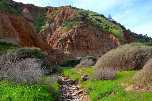Zdjęcie z Australii - Cactus Canyon...ide korytem wyschnietego strumienia
