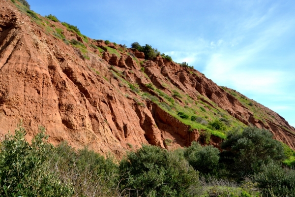 Zdjęcie z Australii - Sciany wąwozu Cactus Canyon