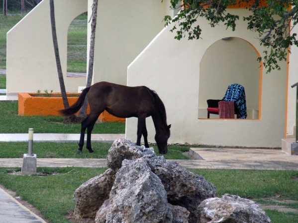 Zdjęcie z Kuby - Hotel Carisol los Corales, na wschód od Santiago de Cuba