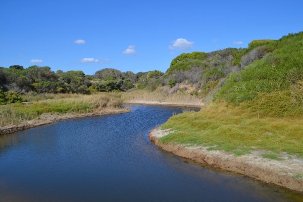 Zdjęcie z Australii - Ujscie strumienia Maslin Creek