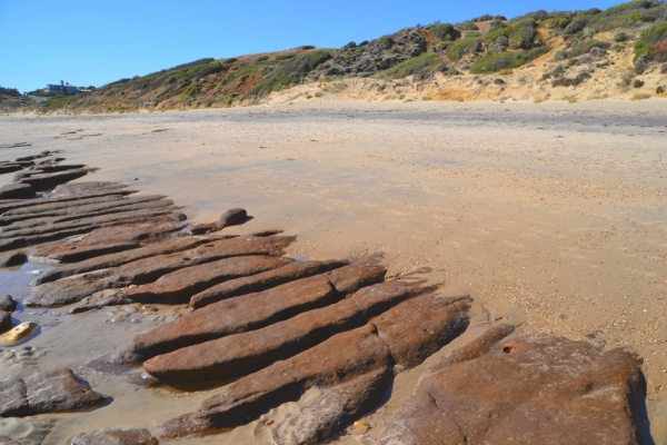 Zdjęcie z Australii - Maslin Beach