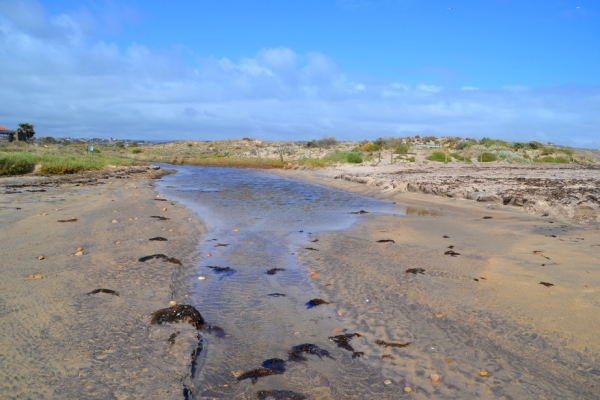Zdjęcie z Australii - Strumien Pedler Creek. 
