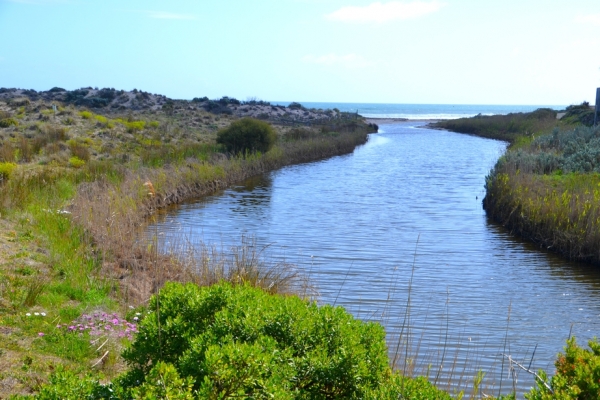 Zdjęcie z Australii - Ujscie Pedler Creek