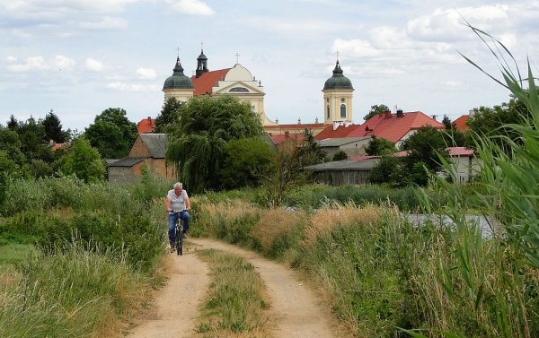 Zdjęcie z Polski - Z jazu schodzimy na polną drogę – wspaniałe miejsce do spacerów.