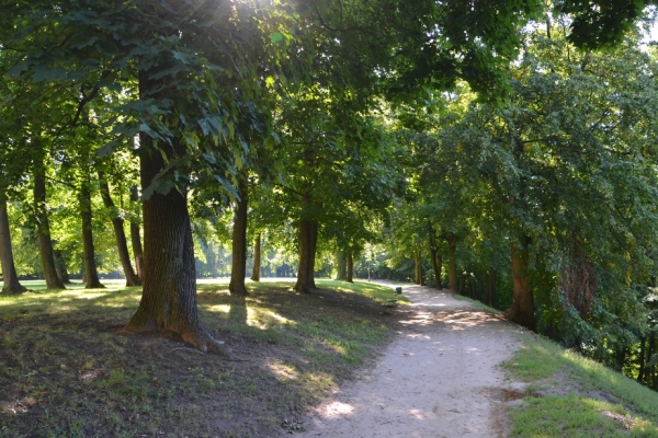Zdjęcie z Polski - Park Czartoryskich