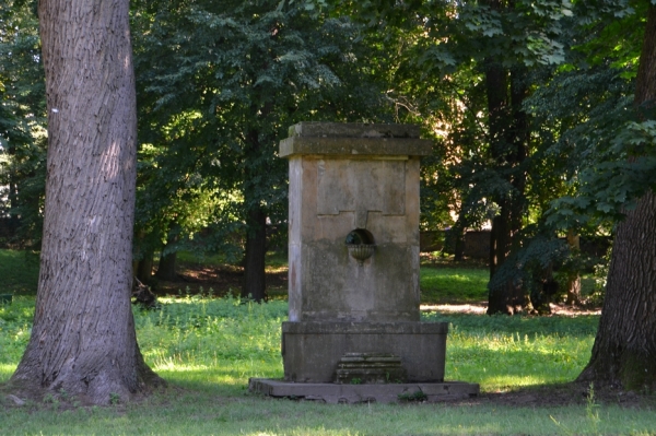 Zdjęcie z Polski - Park Czartoryskich