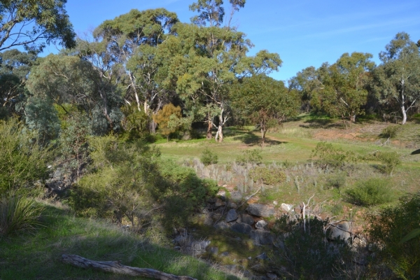 Zdjęcie z Australii - Wąwóz strumienia Waterfall Creek