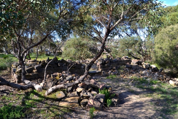 Zdjęcie z Australii - Ruiny starej, XIX-wiecznej farmy