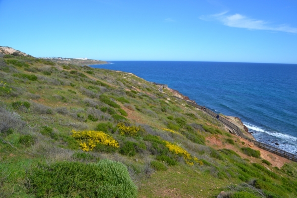 Zdjęcie z Australii - Rezerwat Hallett Cove