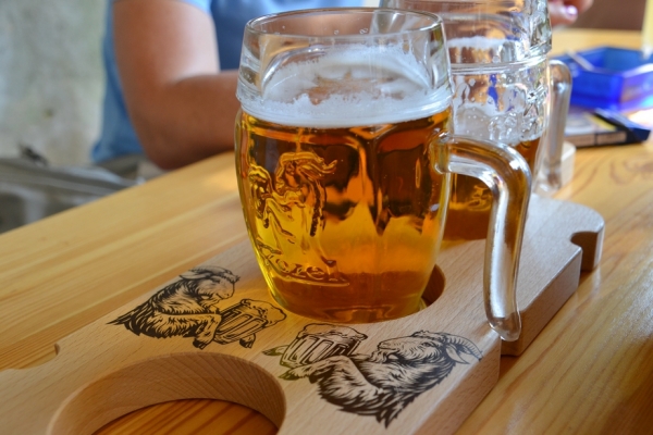 Zdjęcie z Polski - Kozel nie kazimierski ale tez dobry :)