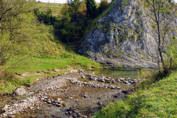Zdjęcie z Polski - pięknie szumi i płynie sobie tu potok  Białej Wody