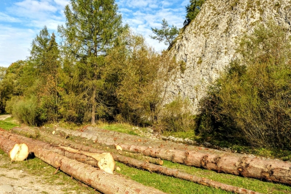 Zdjęcie z Polski - skład drewna przed kolejną bacówką