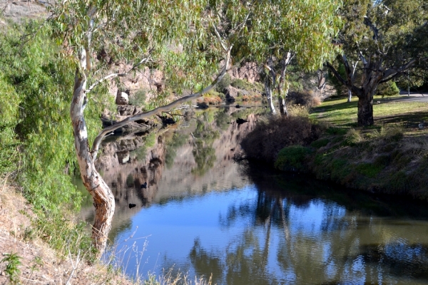 Zdjęcie z Australii - Rzeka Onkaparinga