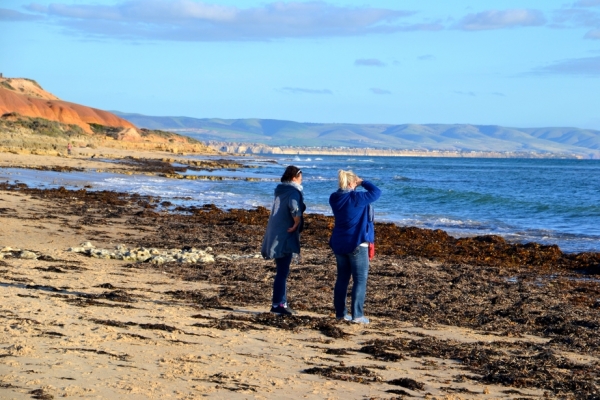 Zdjęcie z Australii - Kolejny raz na plazy Noarlunga South Beach