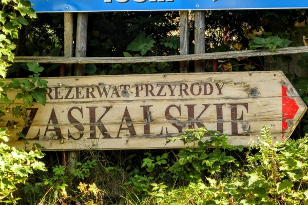 Zdjęcie z Polski - spacerki po okolicy Szczawnicy... a szlaków wszelakich tu mnóstwo! 