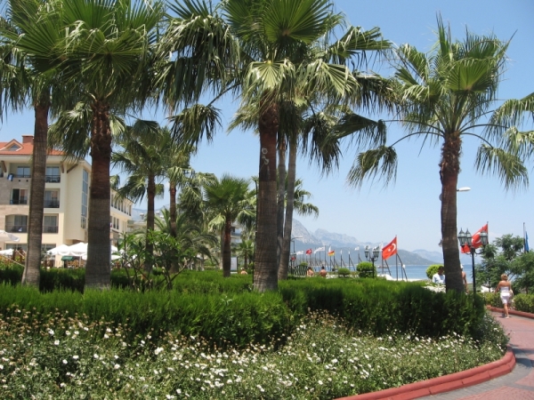 Zdjęcie z Turcji - Kemer