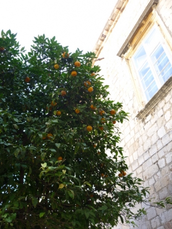 Zdjęcie z Chorwacji - 