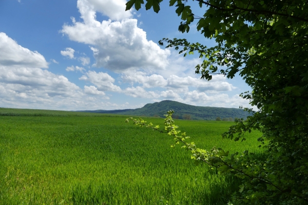 Zdjęcie z Polski - 