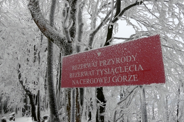 Zdjęcie z Polski - 