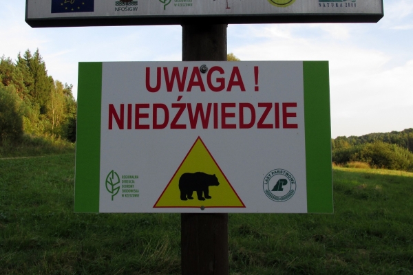 Zdjęcie z Polski - Nie straszę, wręcz przeciwnie - zapraszam w Beskid Niski, Beskid Dukielski