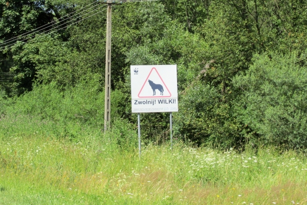 Zdjęcie z Polski - 