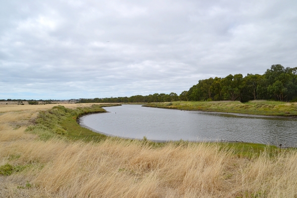 Zdjęcie z Australii - Wzdłuż brzegów Okaparinga River